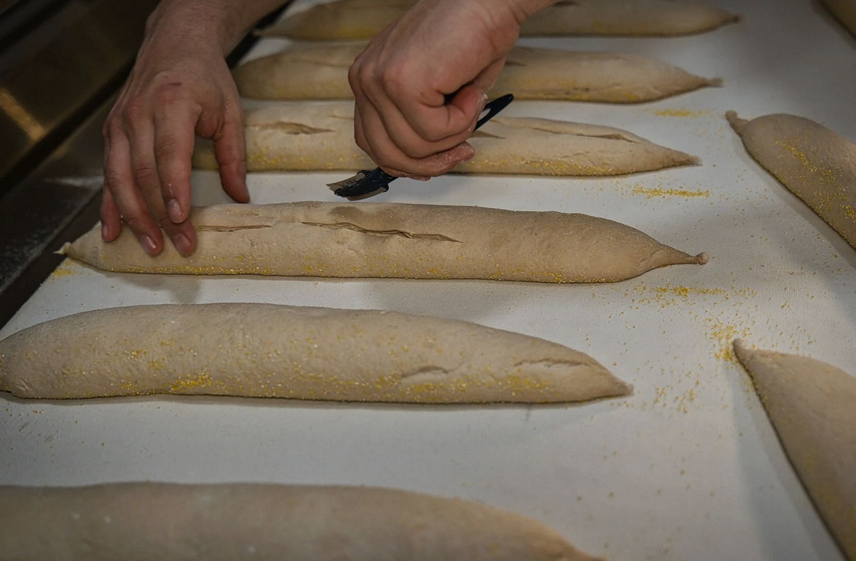 Hands scoring long shaped loaves of dough with a blade on a linen-lined bench before baking.